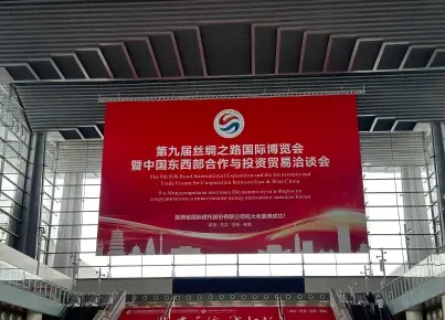 Chins LicKING Shines at the 9th Silk Road Expo, "Quality Products for a Better Life" Draws Attention
