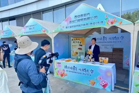 Chins LicKING Shines at the 7th Dual-Platform Online Shopping Festival – Shaanxi Special Event